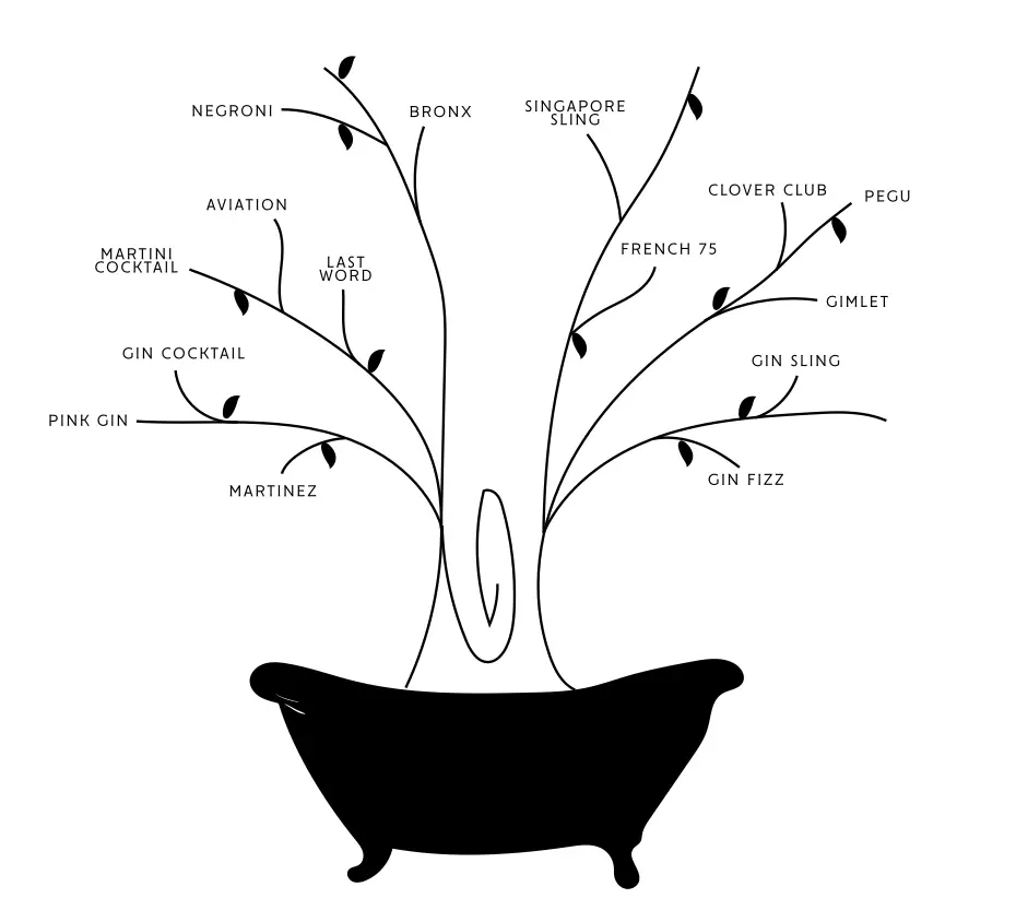 genealogical tree of gin cocktails